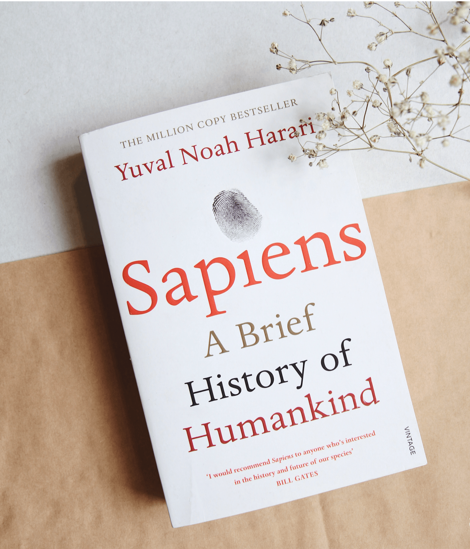 book review of sapiens a brief history of humankind