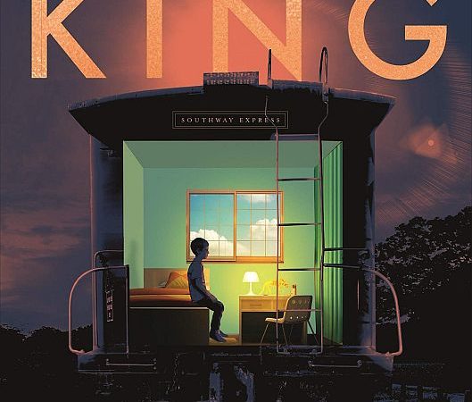 Livre L’Institut de Stephen King PDF