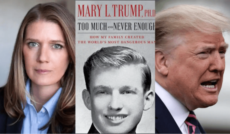 Book Too Much and Never Enough By Mary L. Trump PDF