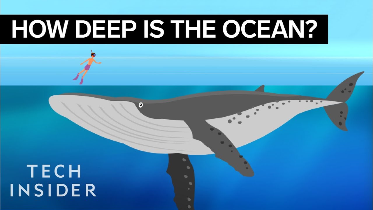 This Incredible Animation Shows How Deep The Ocean Really Is !