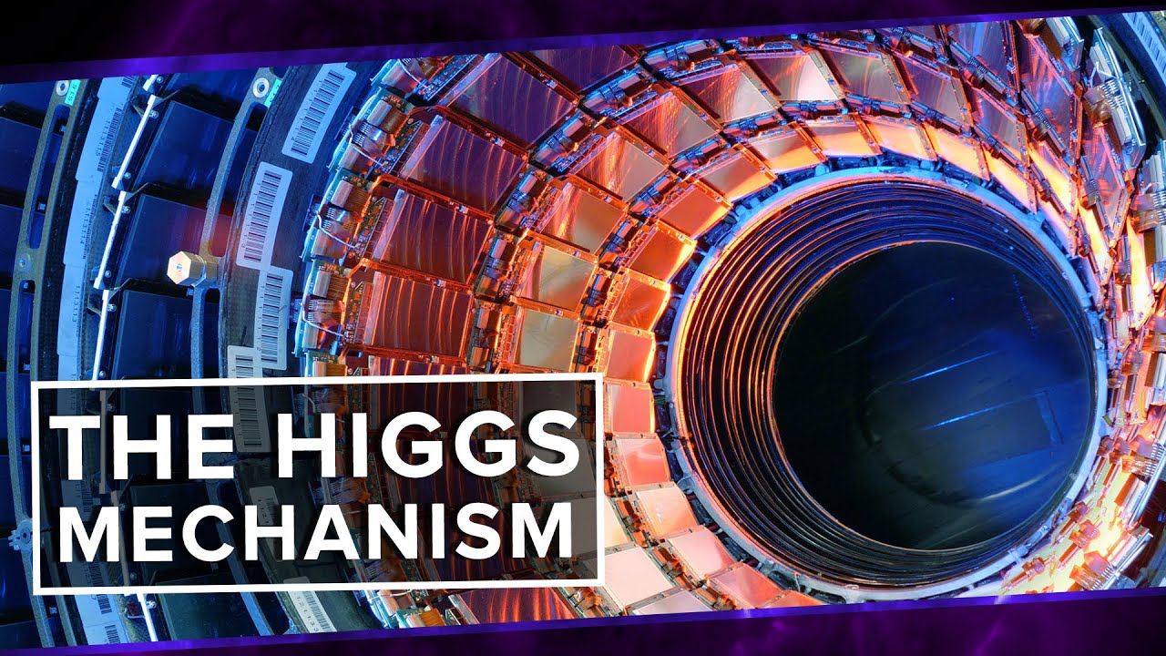 What is the Higgs field and why is it a fundamental part of our universe?
