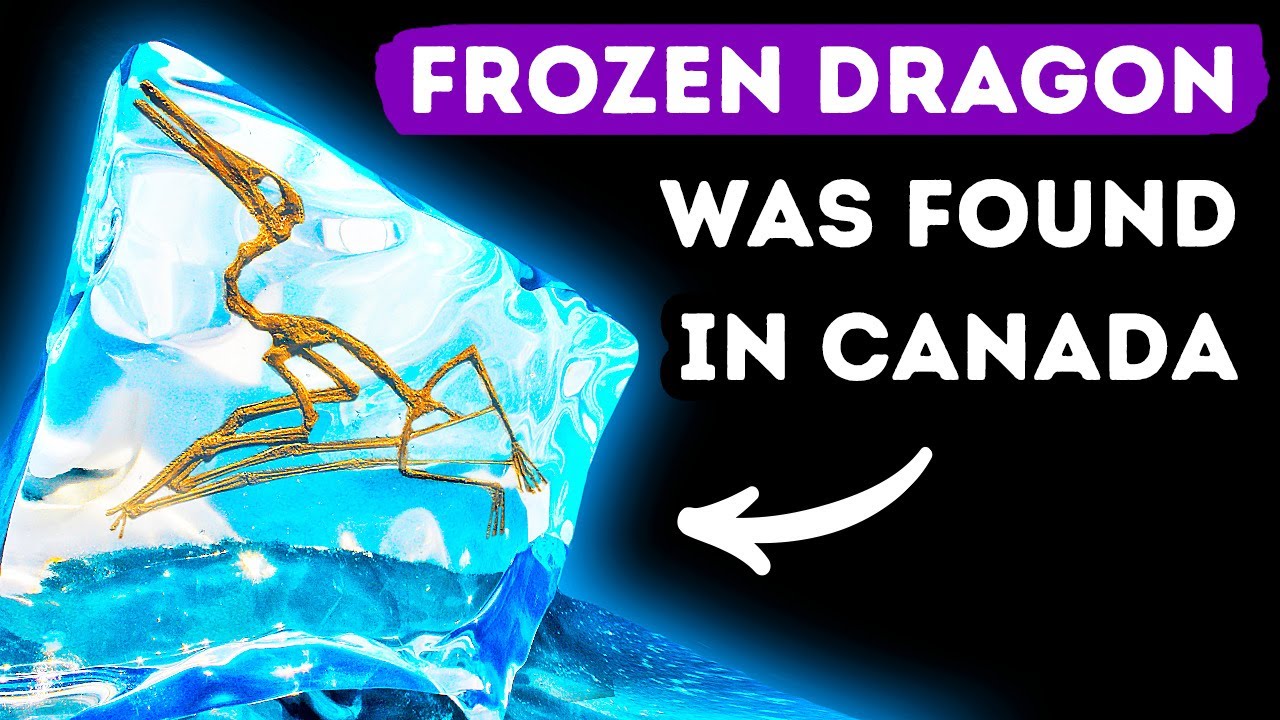 ‘Frozen Dragon’ Species Was Trapped in Ice for 76 Mln Years