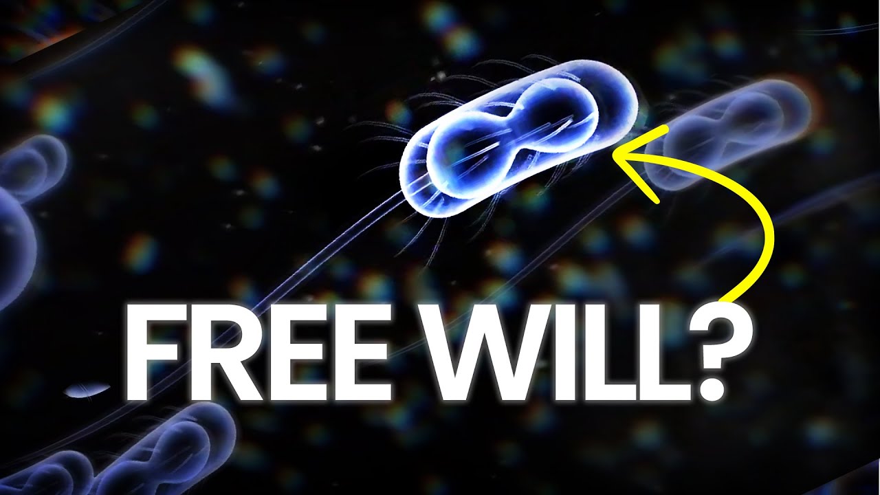 Do all living things have free will? Or are they controlled by DNA and other forces?