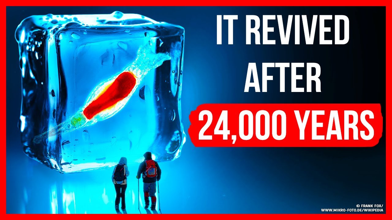 Scientists Revived A Creature That Spent 24000 Years on Ice