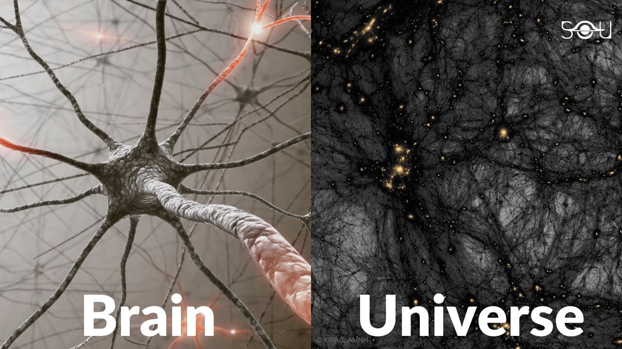 How Our Brain is a Mini Model of the Universe