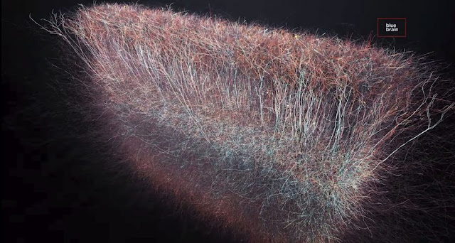 Scientists Find A Multidimensional Universe Inside the Human Brain