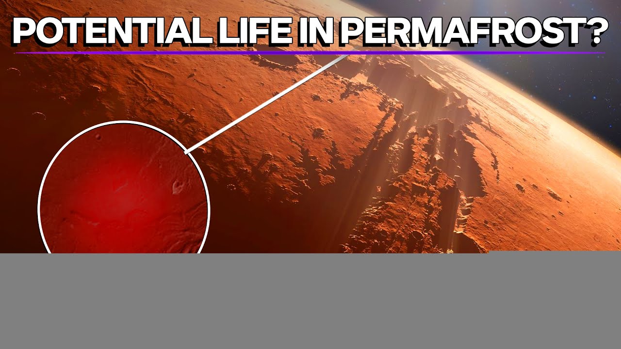 In the Depths Of Valles Marineris: Ice, Water And Maybe Life