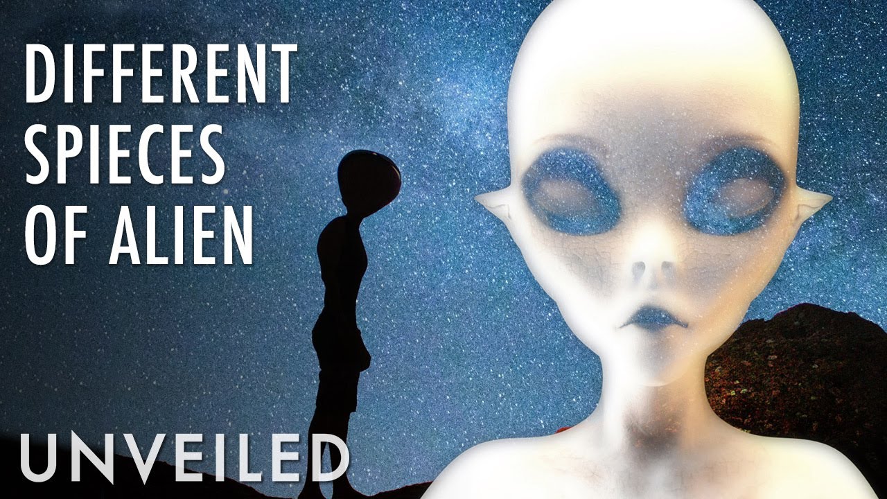 The Different Types Of Alien You Should Know About