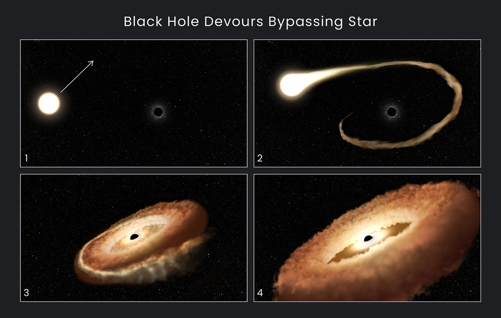 Hubble Discovers a Hungry Black Hole That Shapes a Captured Star Like a Donut
