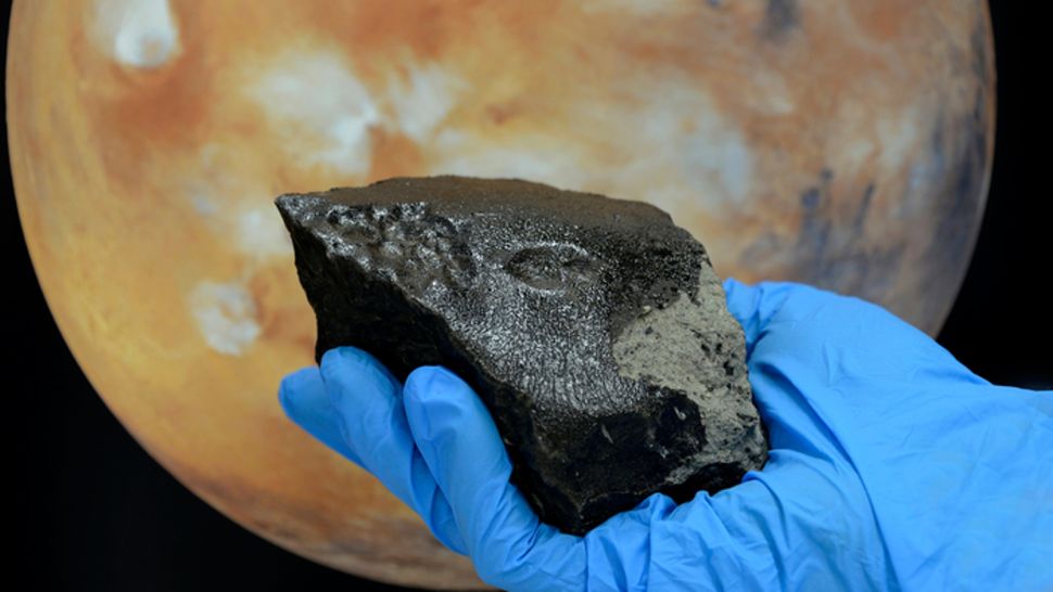 A “vast diversity” of organic compounds were found in the Mars meteorite that struck Earth.