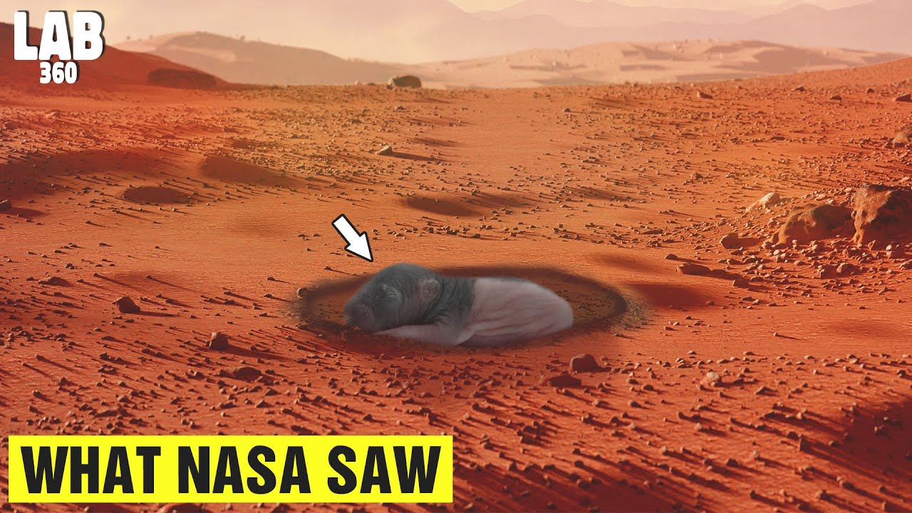 You Won’t Believe What NASA Found on Mars Magic of Science