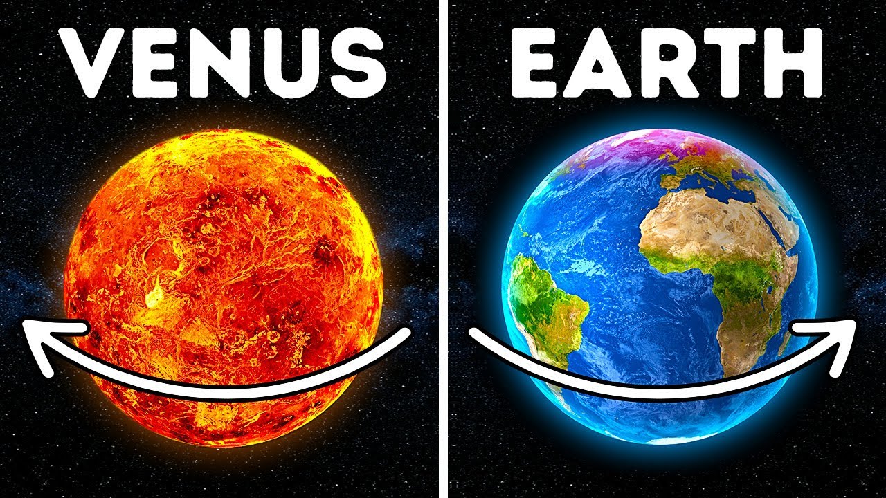 Why Venus Spins in the Wrong Direction