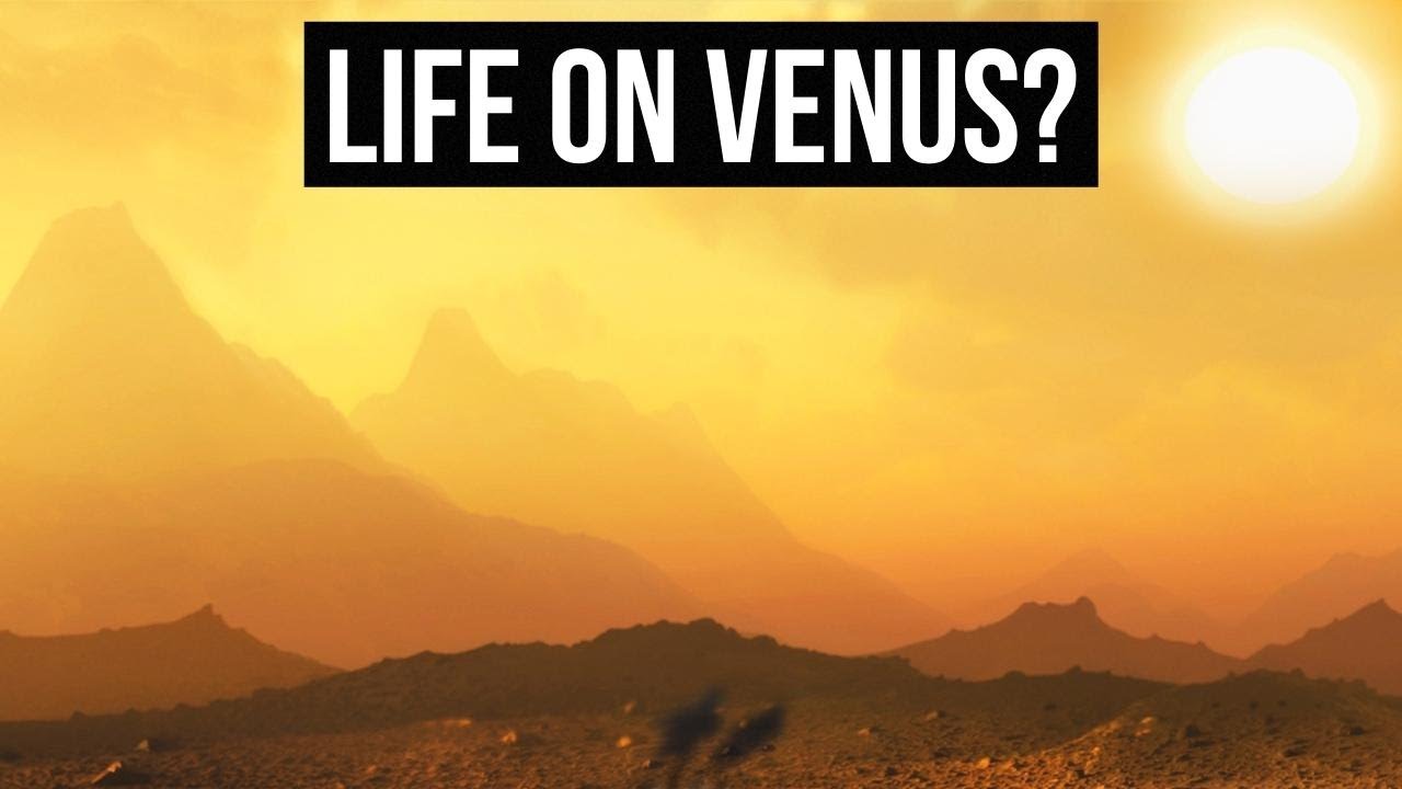 Did We Just Detect Life on Venus Scientist Explain!