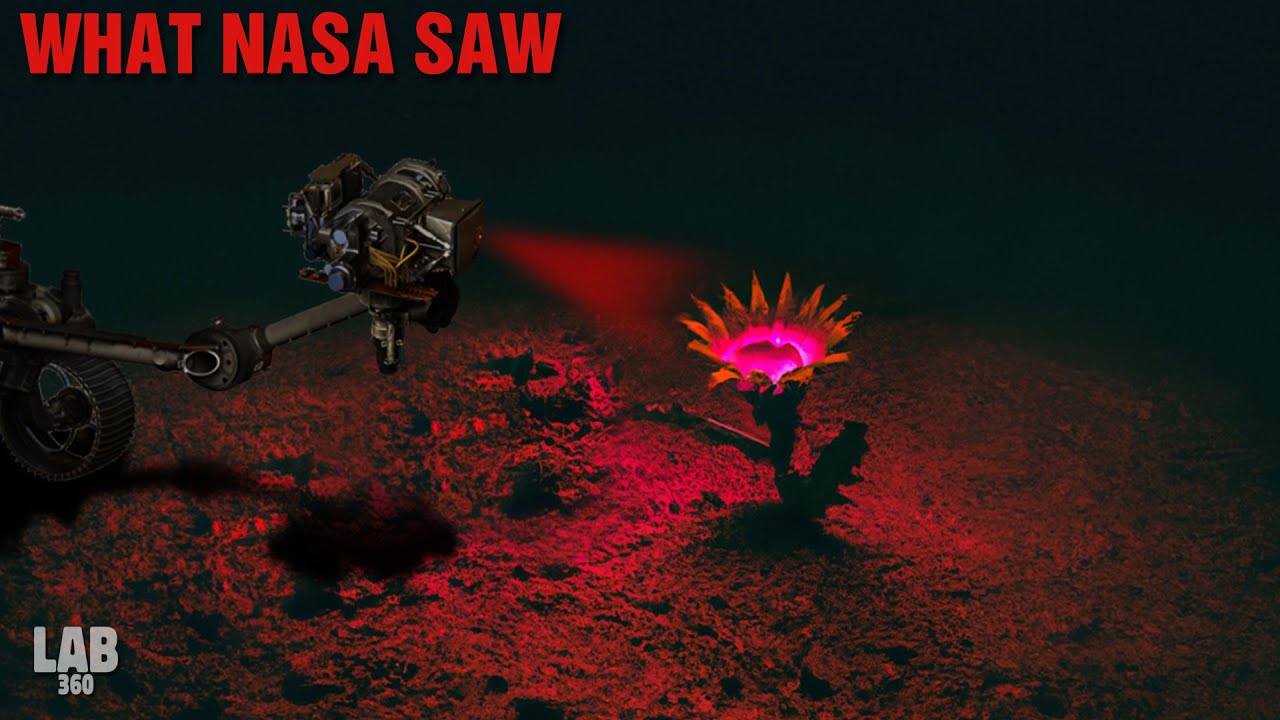 You Won’t Believe What Perseverance Saw on Mars