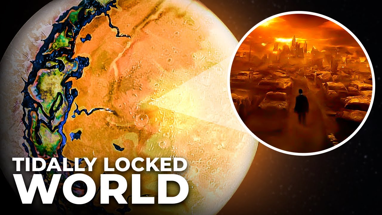 What Life Might Look Like on a Tidally Locked World?
