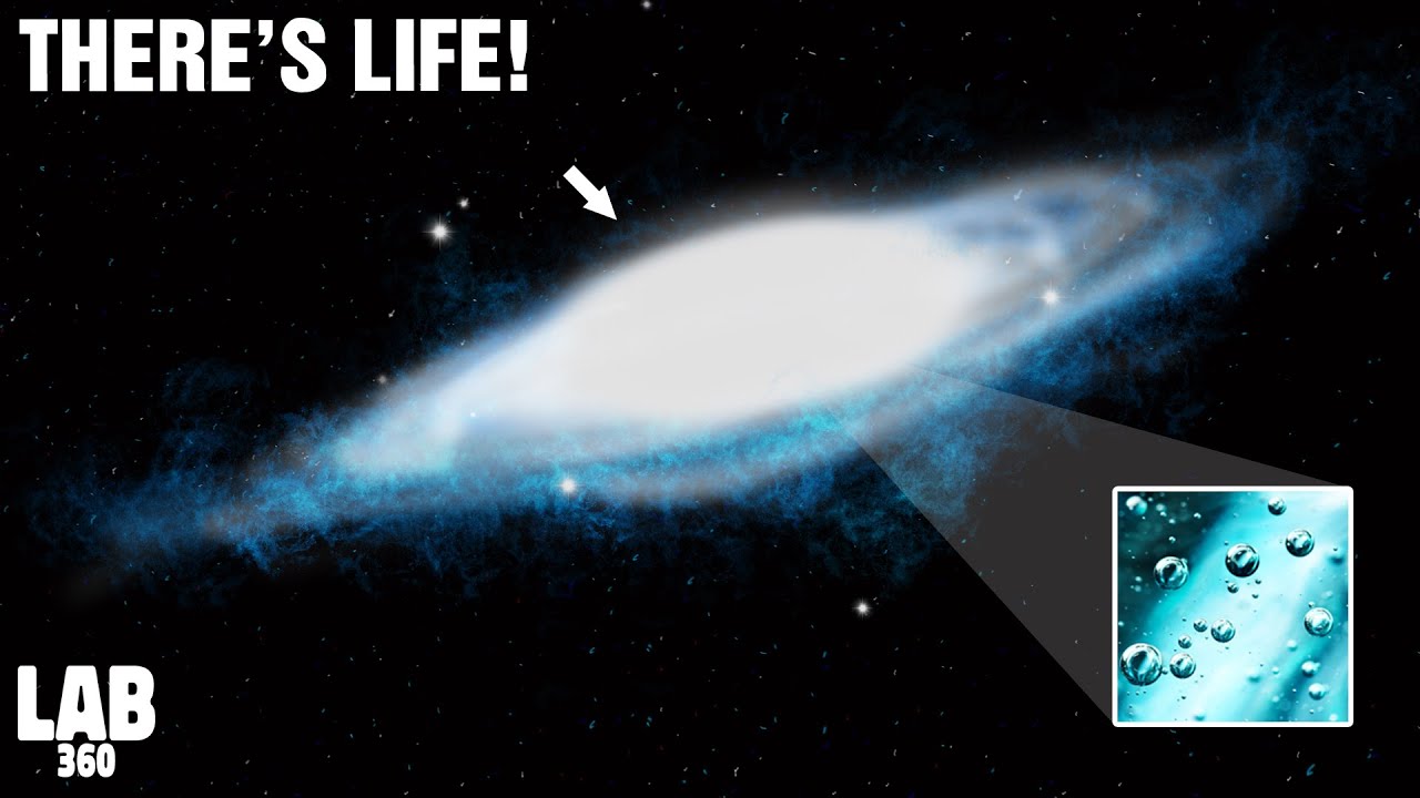 BIG BREAKING: James Webb Telescope Just Announced There’s Life At The Edge of The Universe!