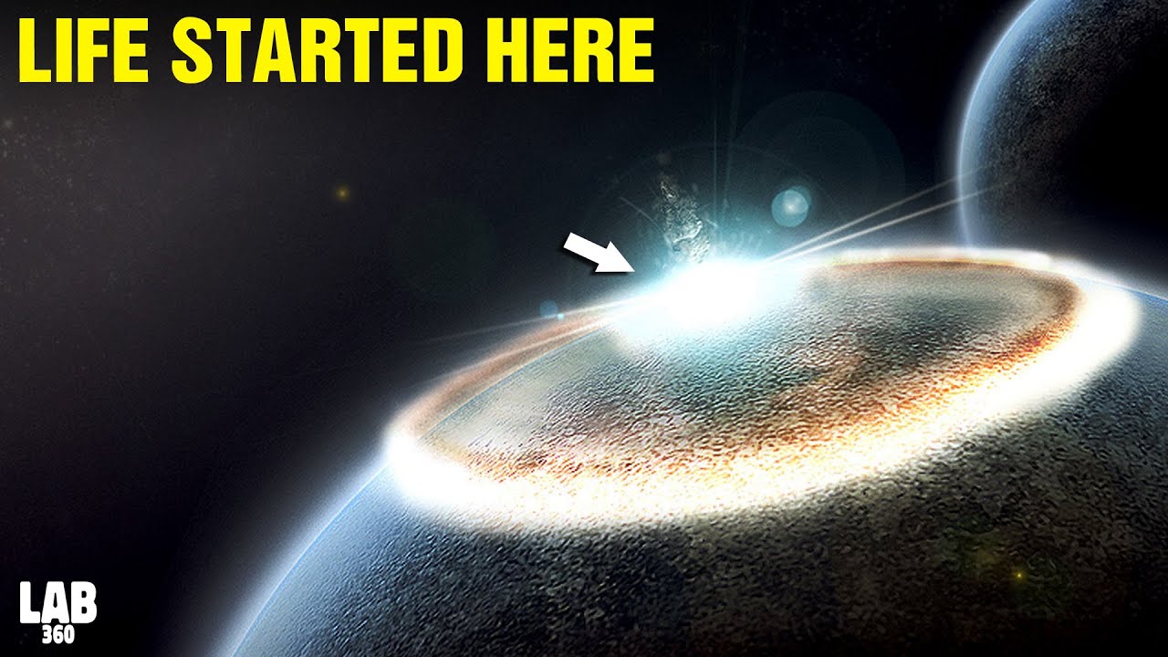 Scientists FINALLY Have Evidence Of Extraterrestrial Orgins Of Life On Earth!