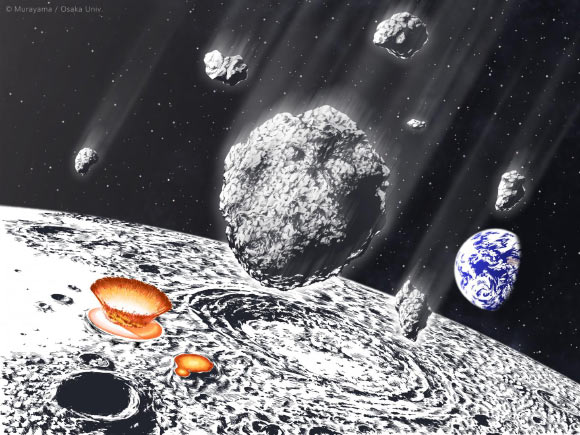Is it Possible for Comets to Transport Life’s Building Blocks to Rocky Exoplanets?