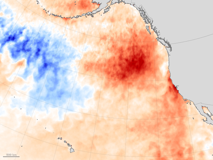 Pacific’s Large Warm Water Mass Could Be Influencing Unusual Behavior in El Niño Patterns