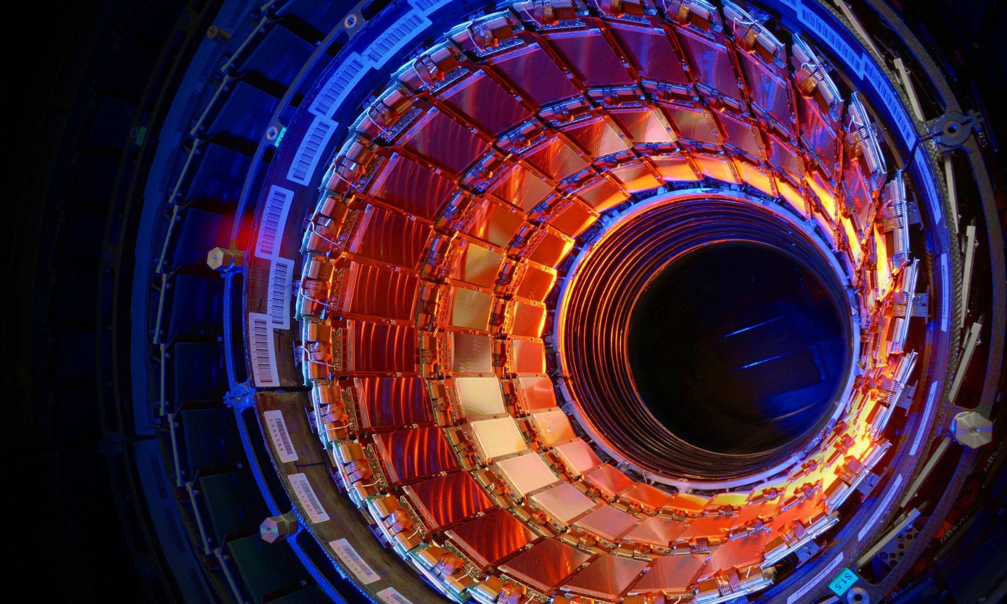 The Large Hadron Collider Discovers Three Particles Previously Unobserved.