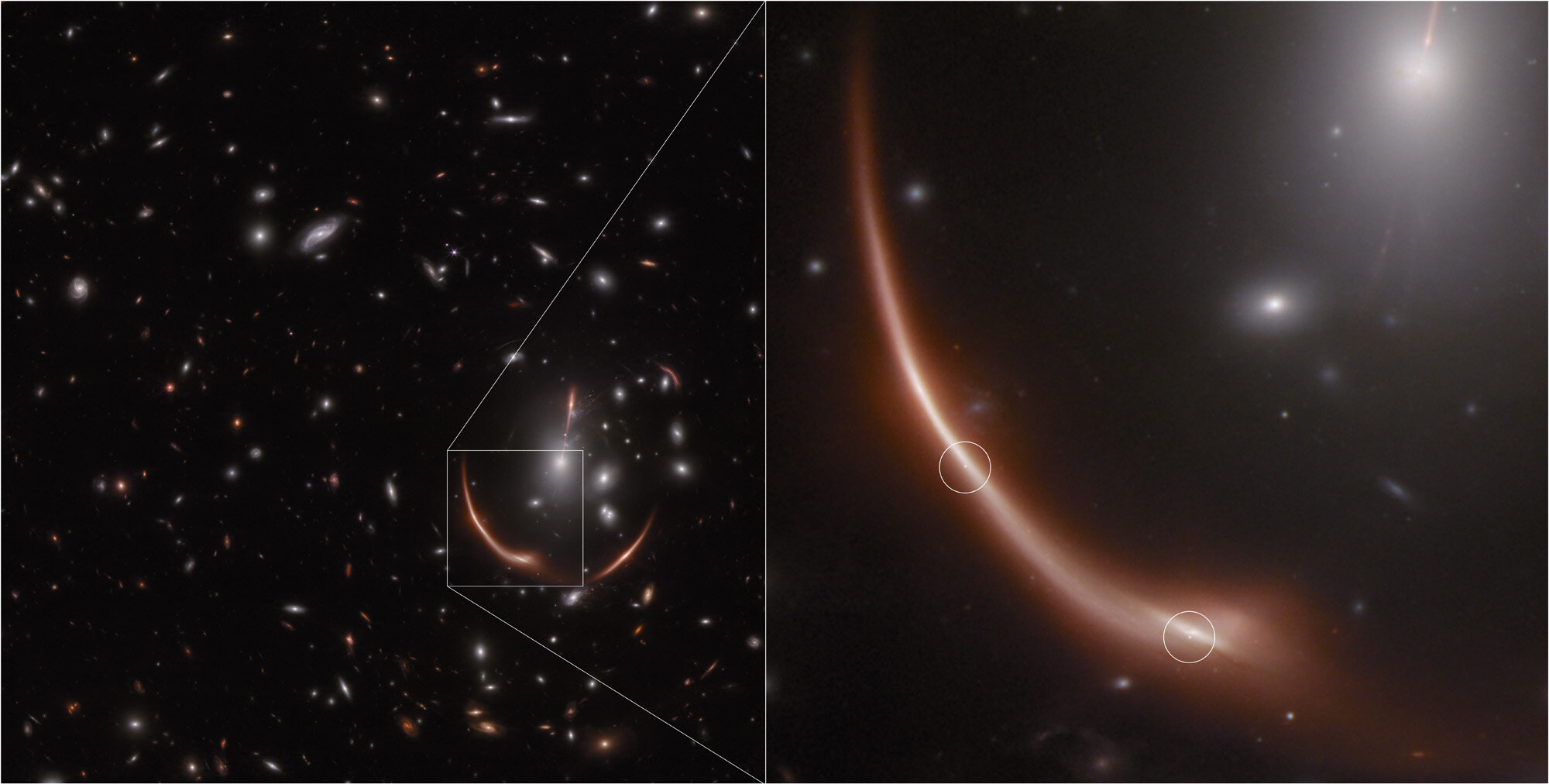 “Webb Detects Another Lens-aided Supernova in a Remote Galaxy”