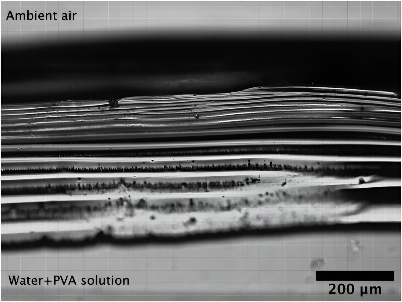 “Why Humid Environments Do Not Prolong the Drying Time of Paint”