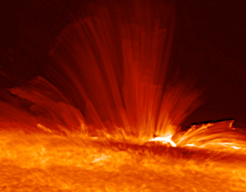 Magnetic Fields in Stars Similar to the Sun