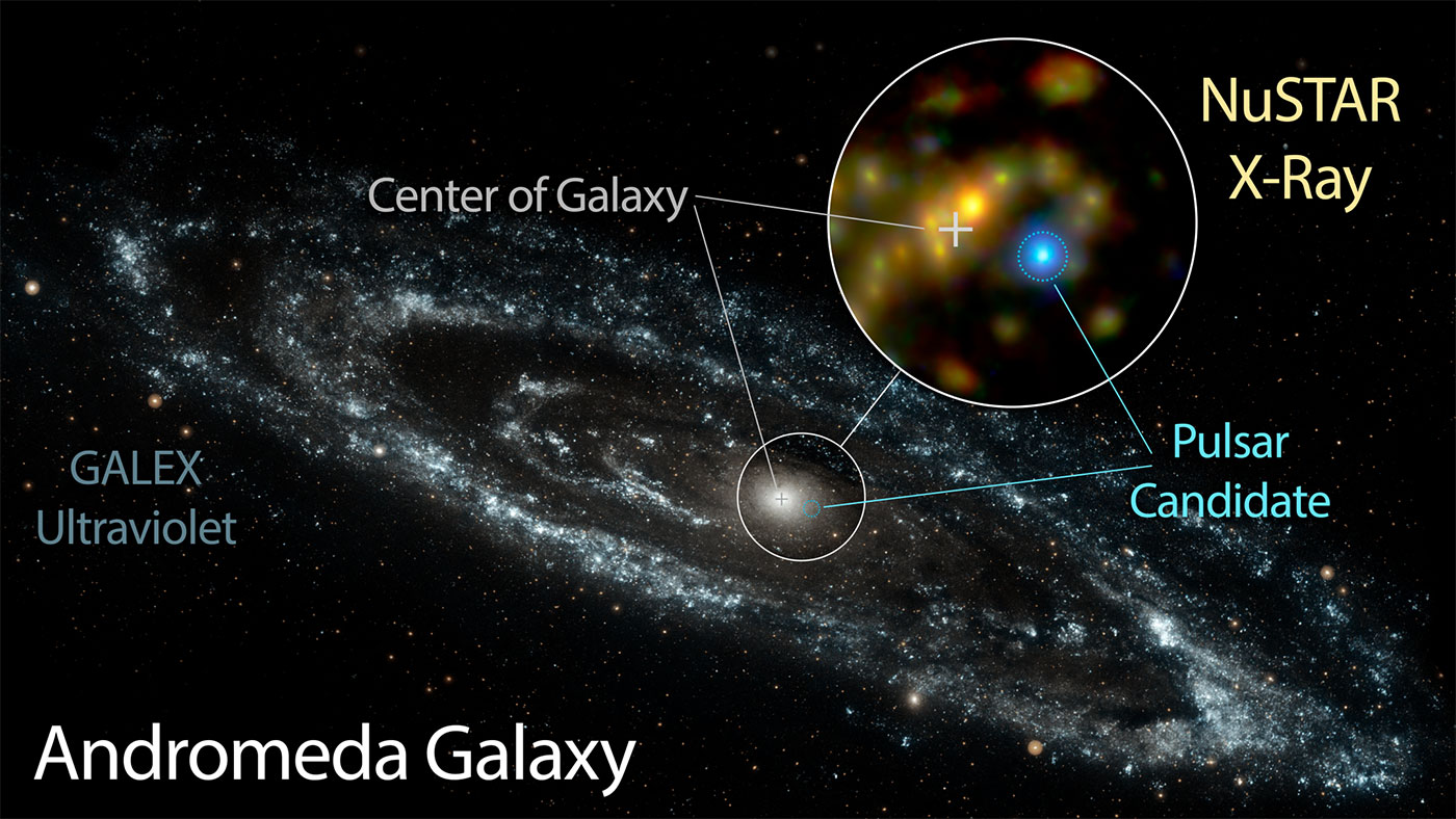 NuSTAR Resolves the Bright X-ray Puzzle of Andromeda