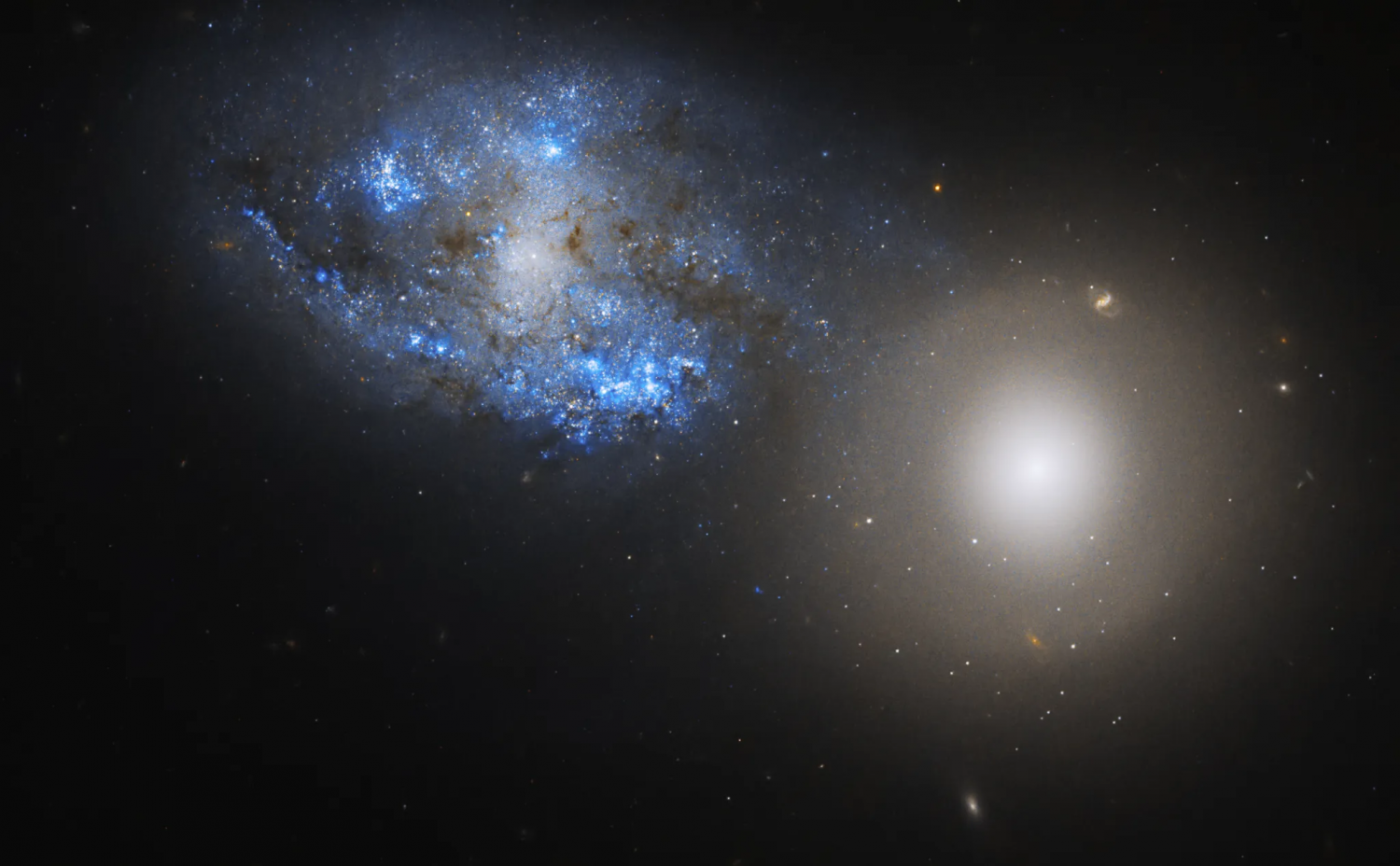 Hubble’s Imaging Records Arp 295