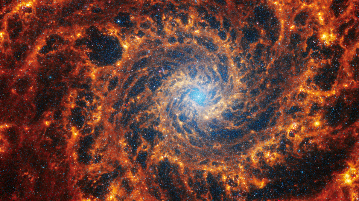 JWST Captures Images Displaying the Swirling Arms of 19 Spiral Galaxies