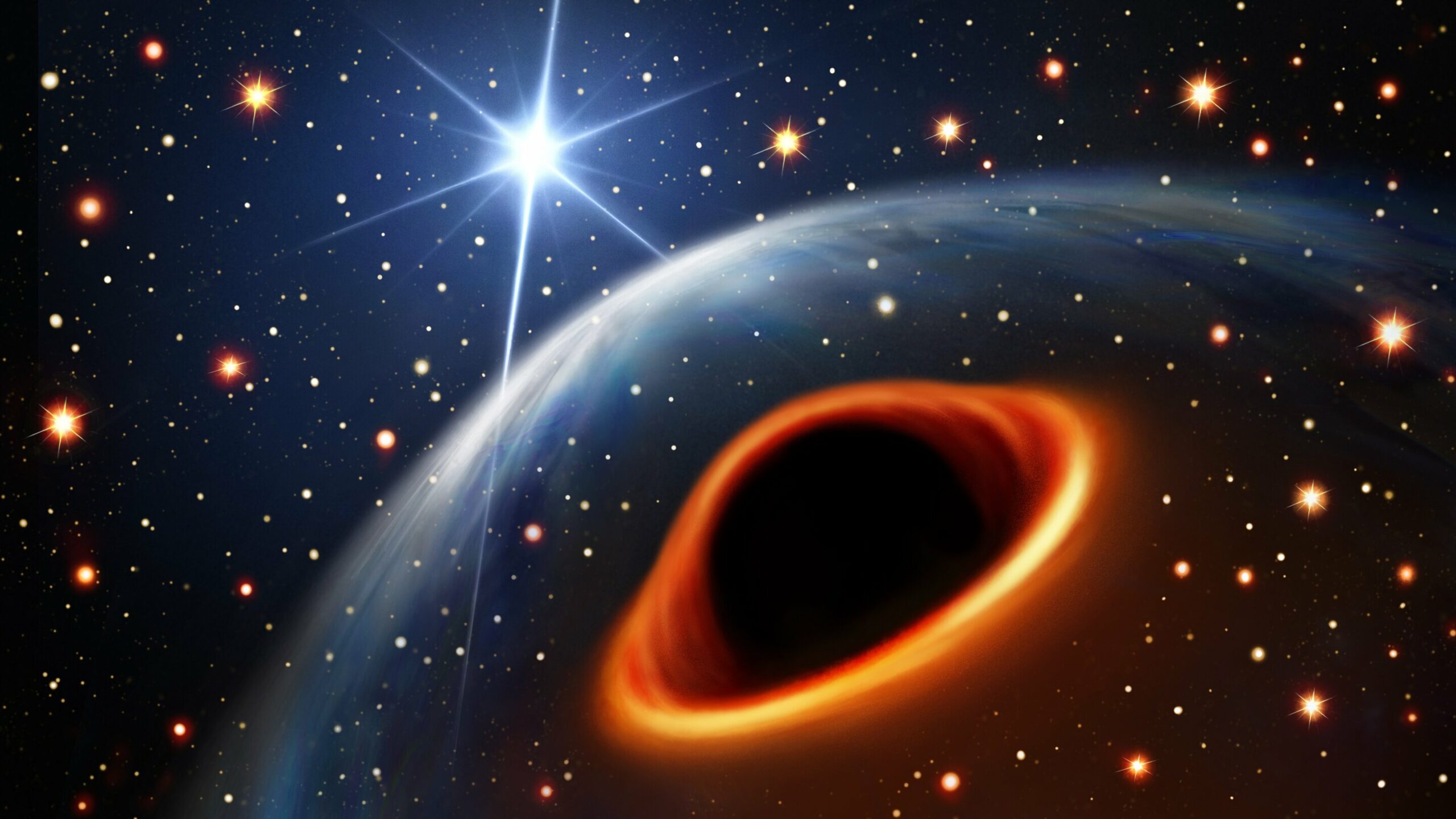 MeerKAT Reveals Enigmatic Celestial Object in the Milky Way: Is it the Lightest Black Hole or the Heaviest Neutron Star?