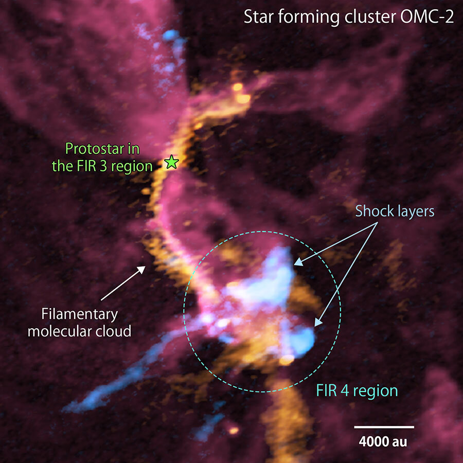 The Impact of Infant Star Outflows on the Surrounding Star Formation