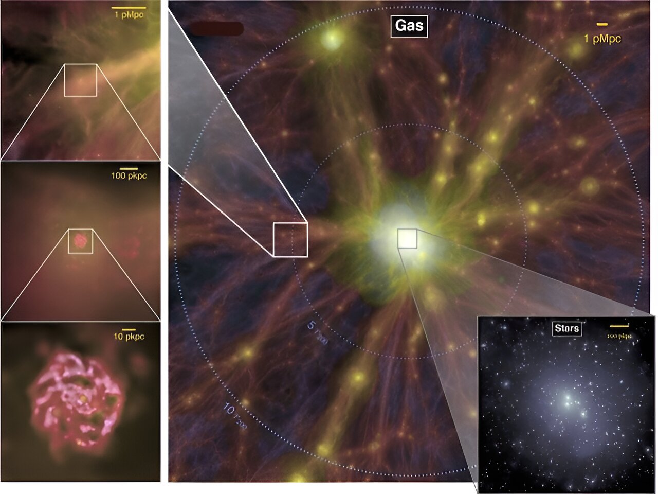 Investigating the Impact of ‘Cosmic Web’ Regions on Galaxy Behavior, say Researchers