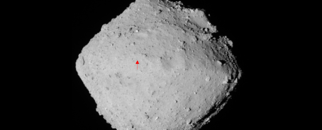 Traces of comet particles have been discovered in samples taken from the asteroid Ryugu, suggesting the presence of the “seeds of life.”