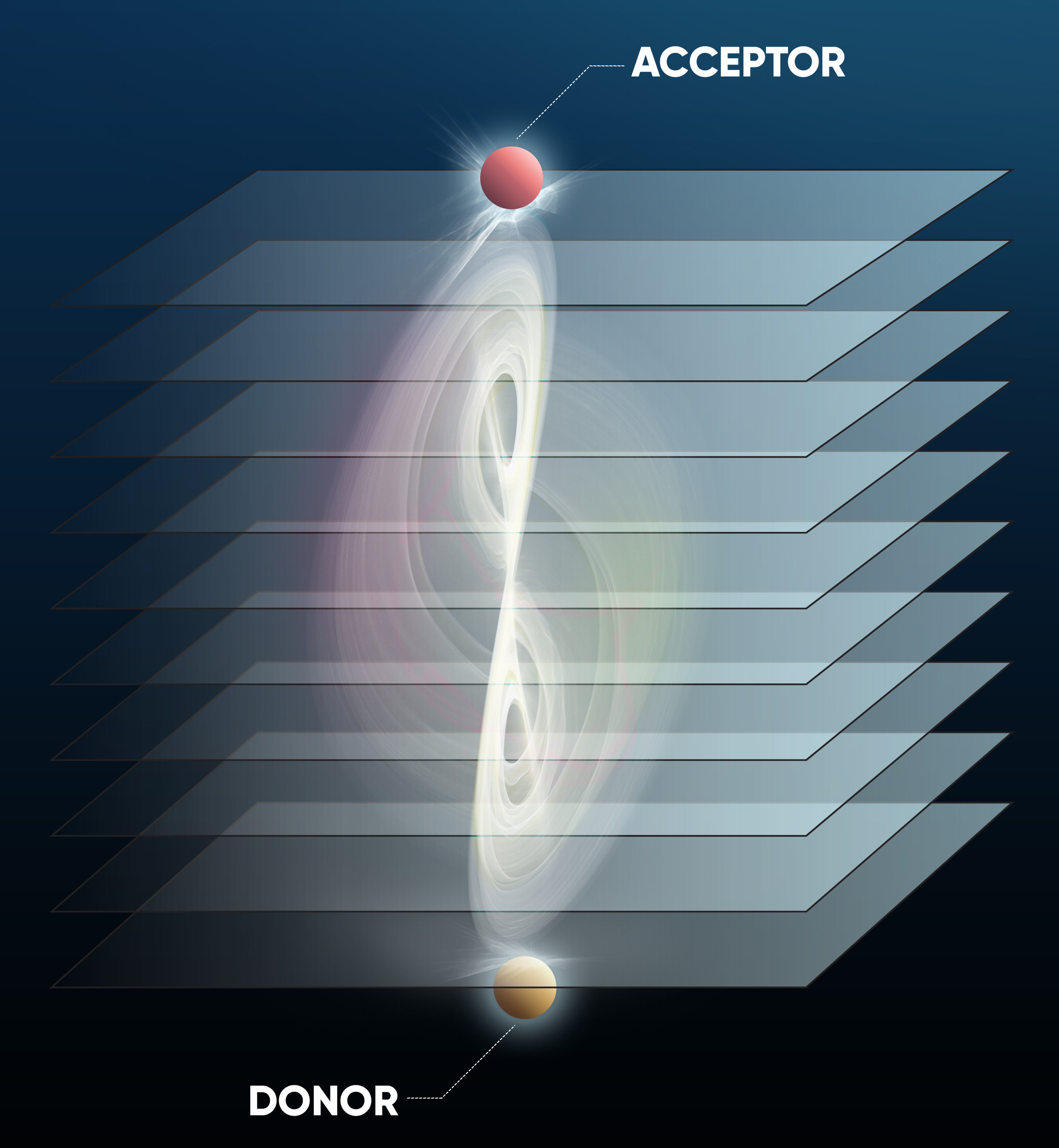 Collaborative Research Overcomes Forster Resonant Energy Transfer (FRET) Distance Constraints.