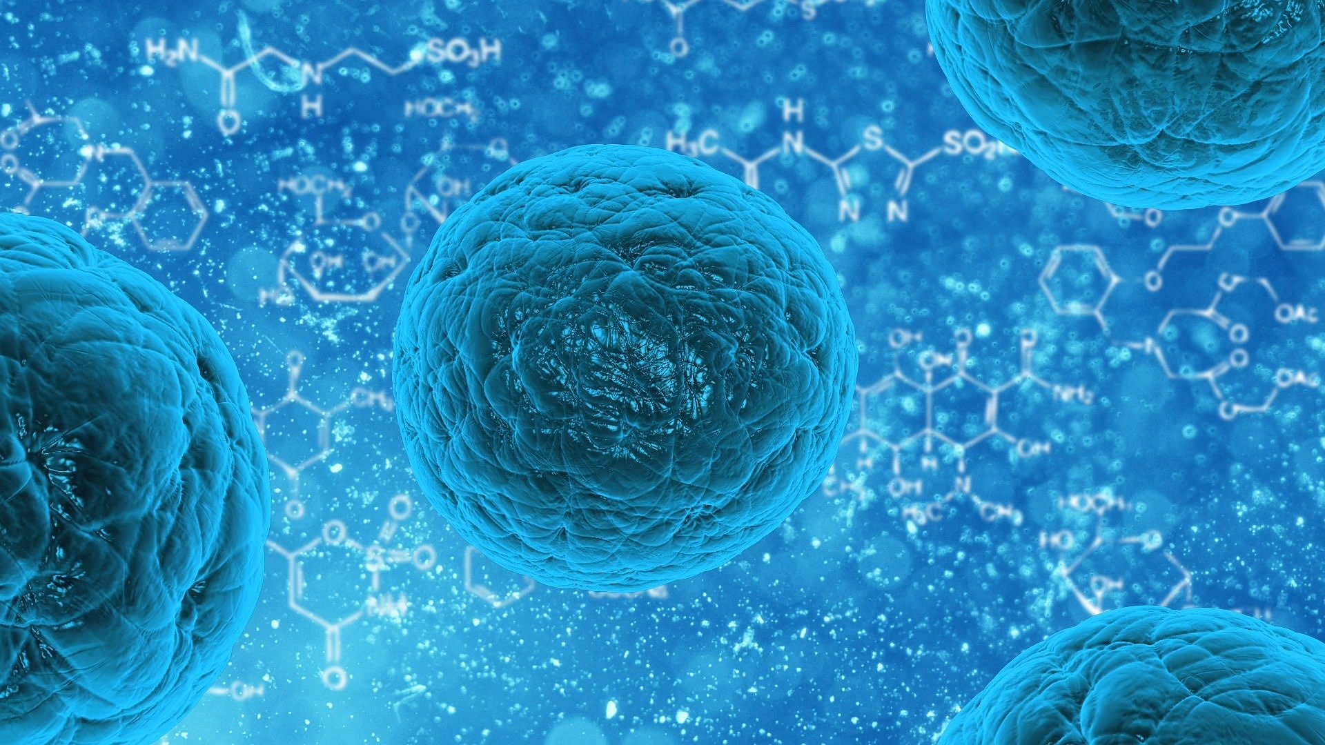 Comprehending Cell-to-Cell Chemical Communication