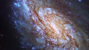 Hubble captures starry Cetus constellation galaxy